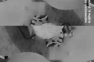 new and for you - 30 - Image 4