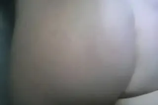 Good Moaning SLC - Last Chance... - Image 1